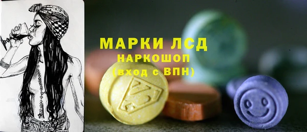 стаф Алзамай