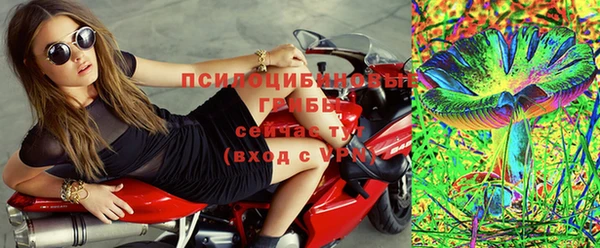 сатива Алексеевка