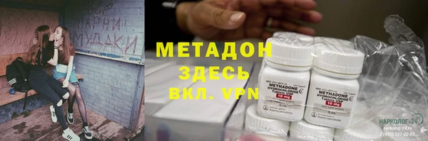 стаф Алзамай