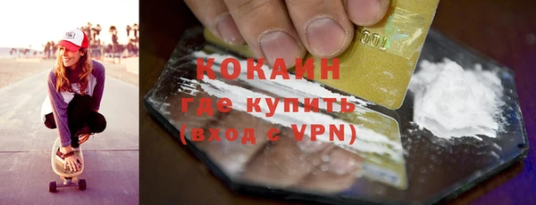 стаф Алзамай