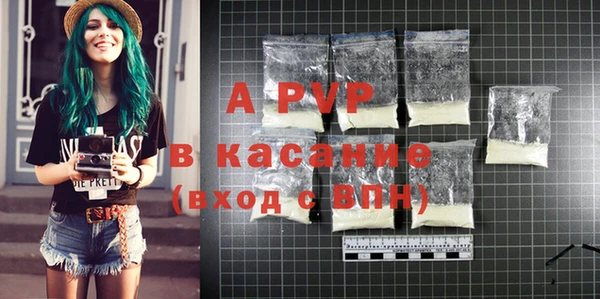 стаф Алзамай