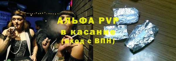 стаф Алзамай