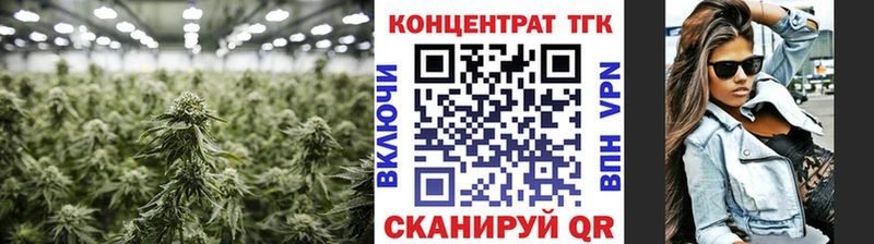 Дистиллят ТГК концентрат  закладки  Николаевск 