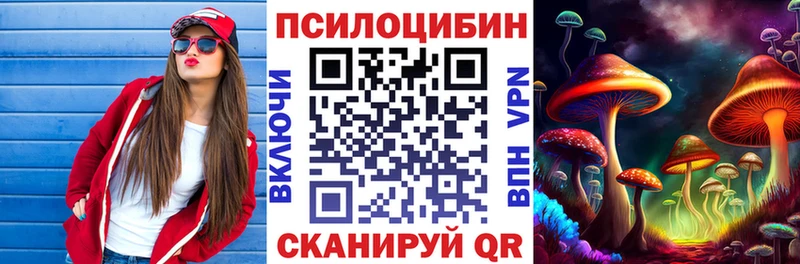 Галлюциногенные грибы Psilocybe  Николаевск 